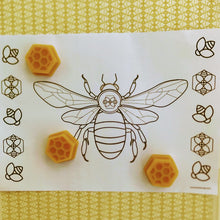 Load image into Gallery viewer, DIY Beeswax Wrap Kit
