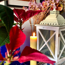 Load image into Gallery viewer, Lübeck Beeswax Candle by Frank Wrap